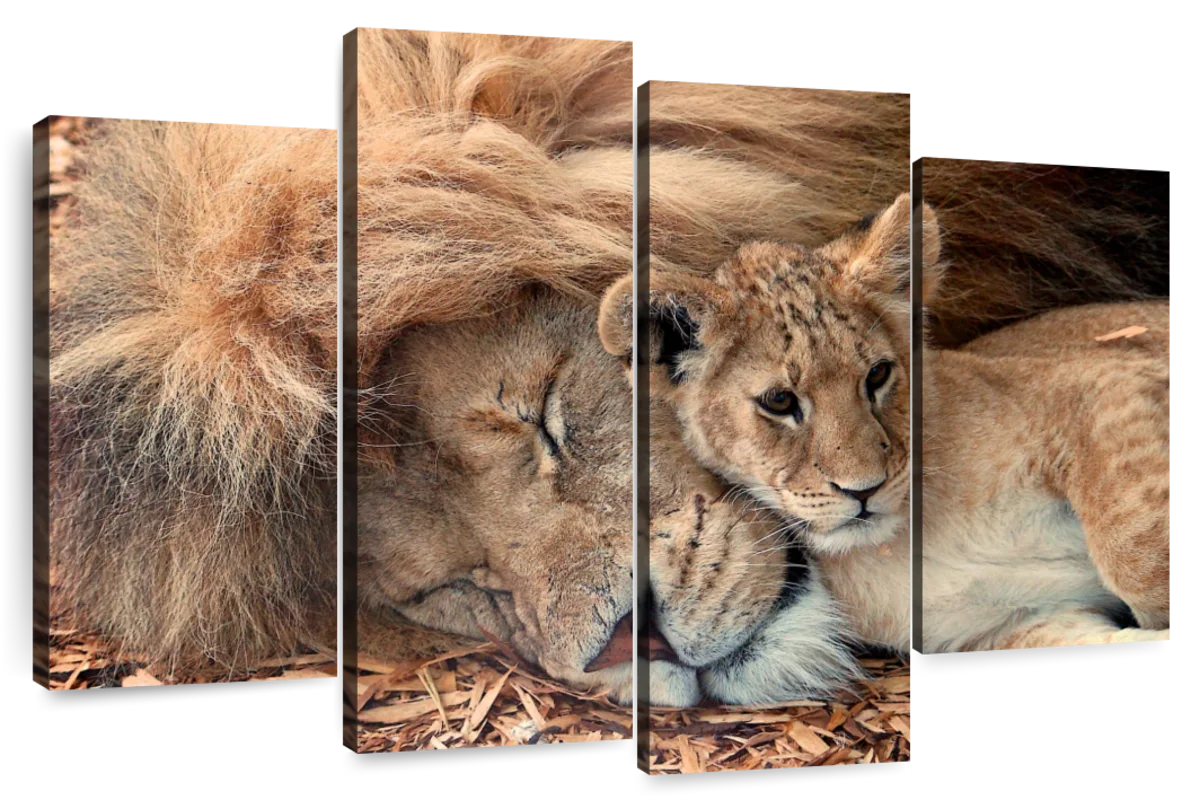 Lion Wall Art  Paintings, Drawings & Photograph Art Prints