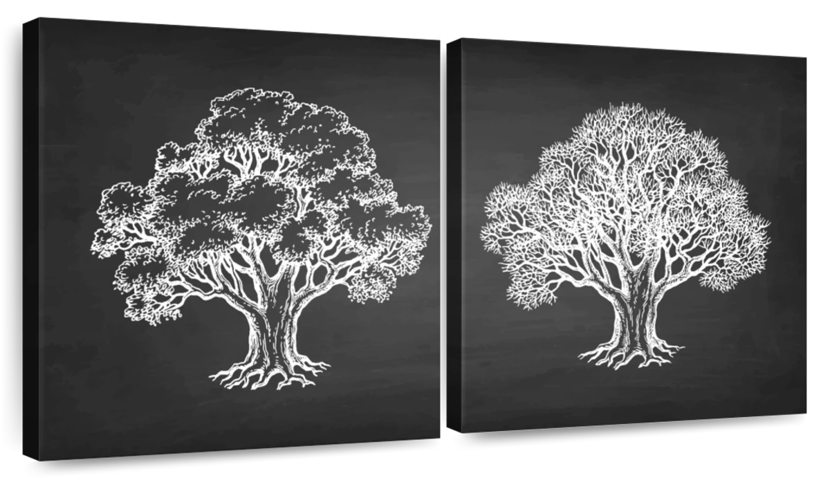 DIY Easy Tree and Birds Wall Painting | tree wall painting | simple and  easy wall painting idea - YouTube