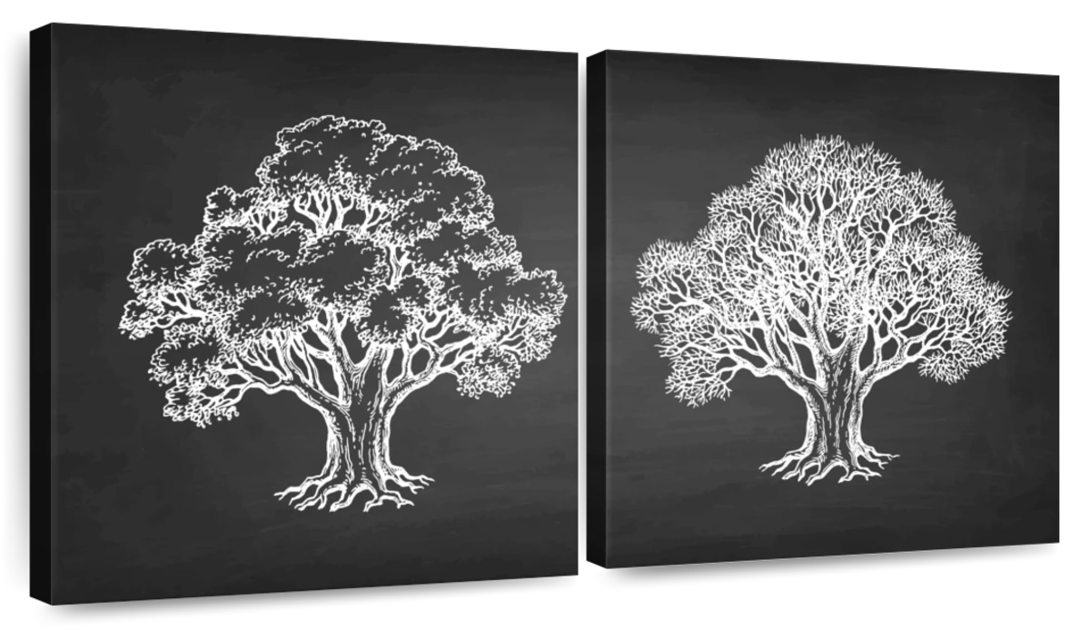 oak tree outline image