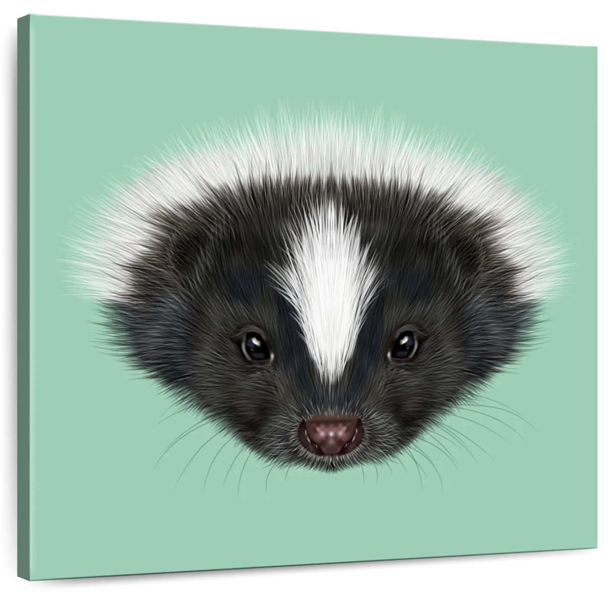 Skunk Wall Art  Paintings, Drawings & Photograph Art Prints