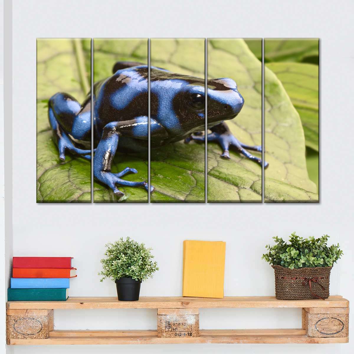 20++ Finest Frog canvas wall art images info