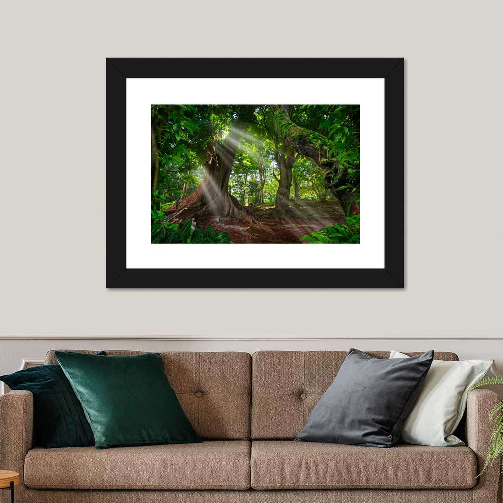 Sunlit Rainforest Wall Art | Photography