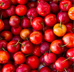 Acerola Cherry 