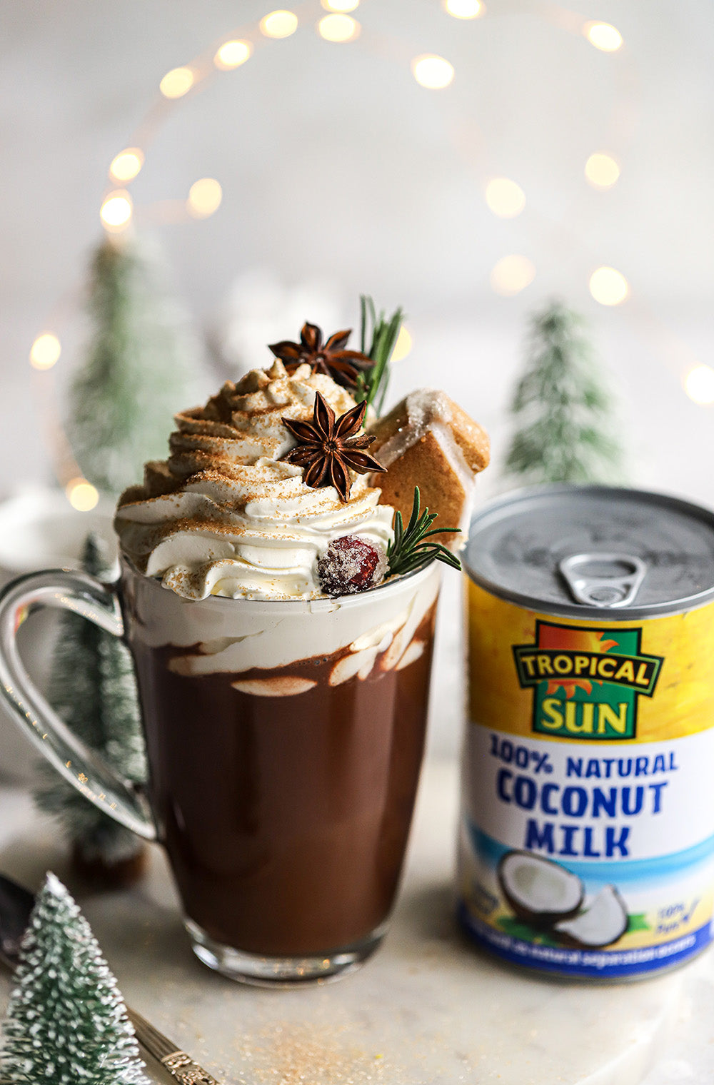 Better Than Starbucks Spiced Christmas Mocha!