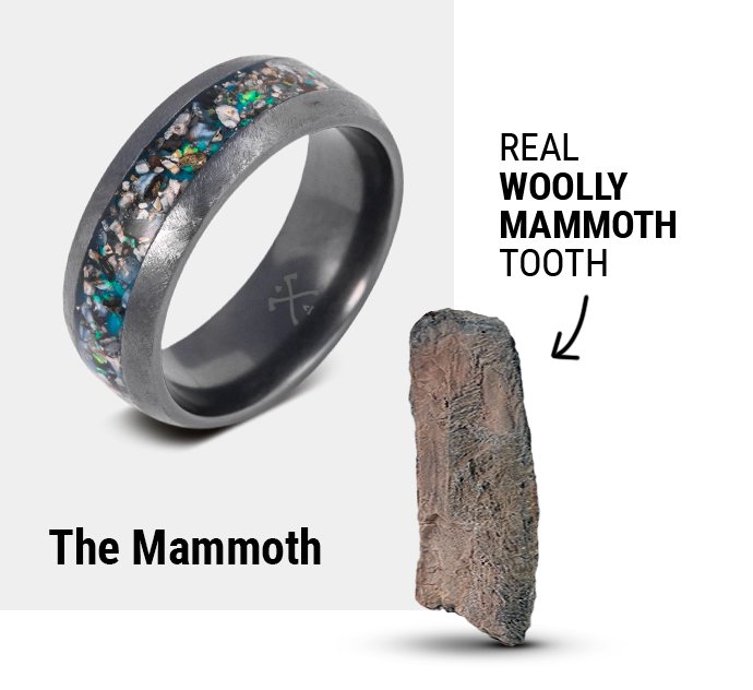 mammoth-fossil_32c3d6fa-a69a-44e7-8dc6-20882e82c6b1