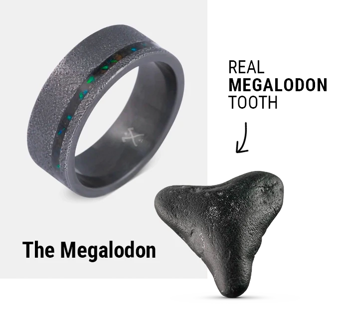 megalodon_graphic