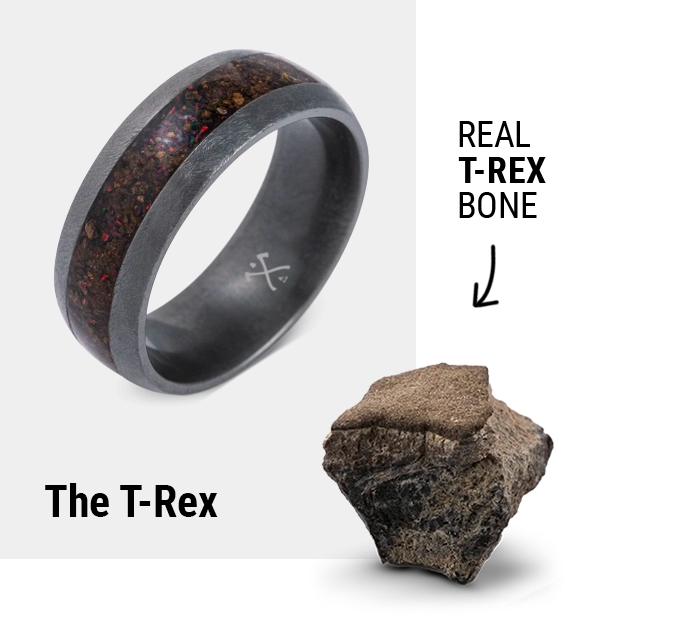 trex-fossil