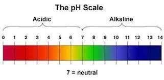 pH-scale