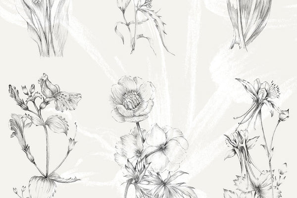 Free Flower Photoshop Brushes