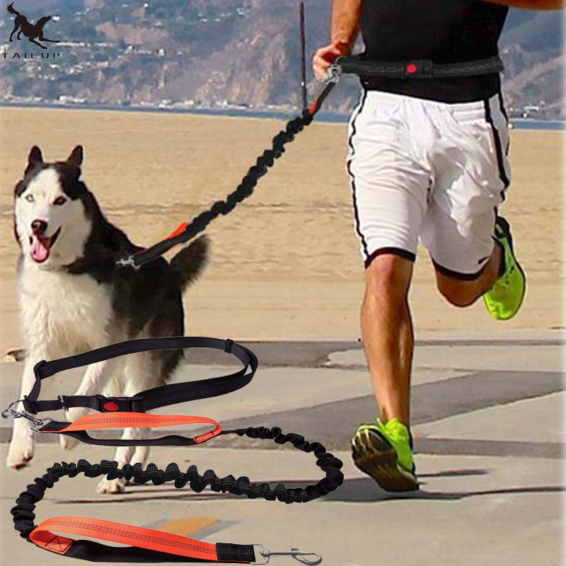 running leash