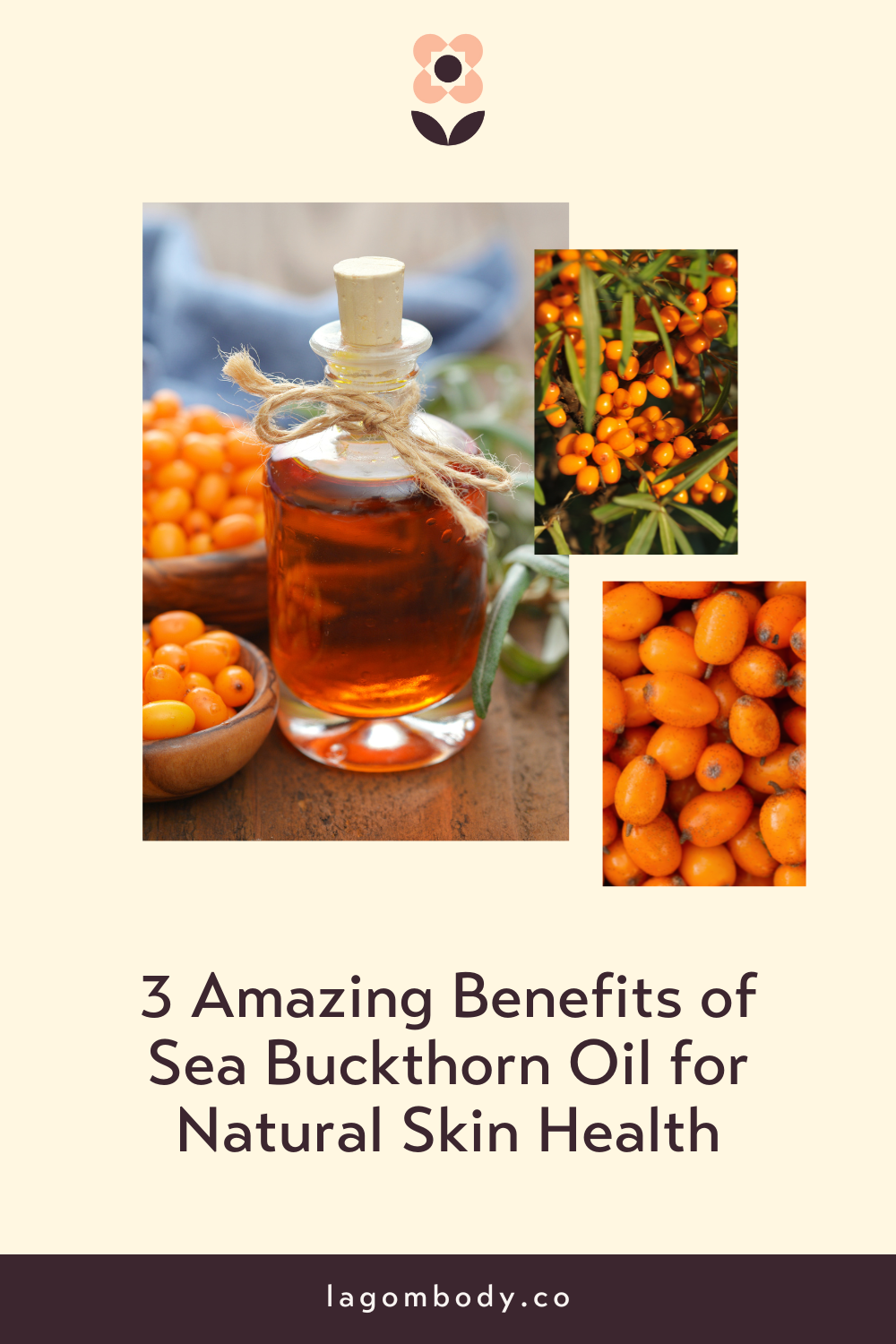 3 Amazing Benefits of Sea Buckthorn Oil for Natural Skin Health