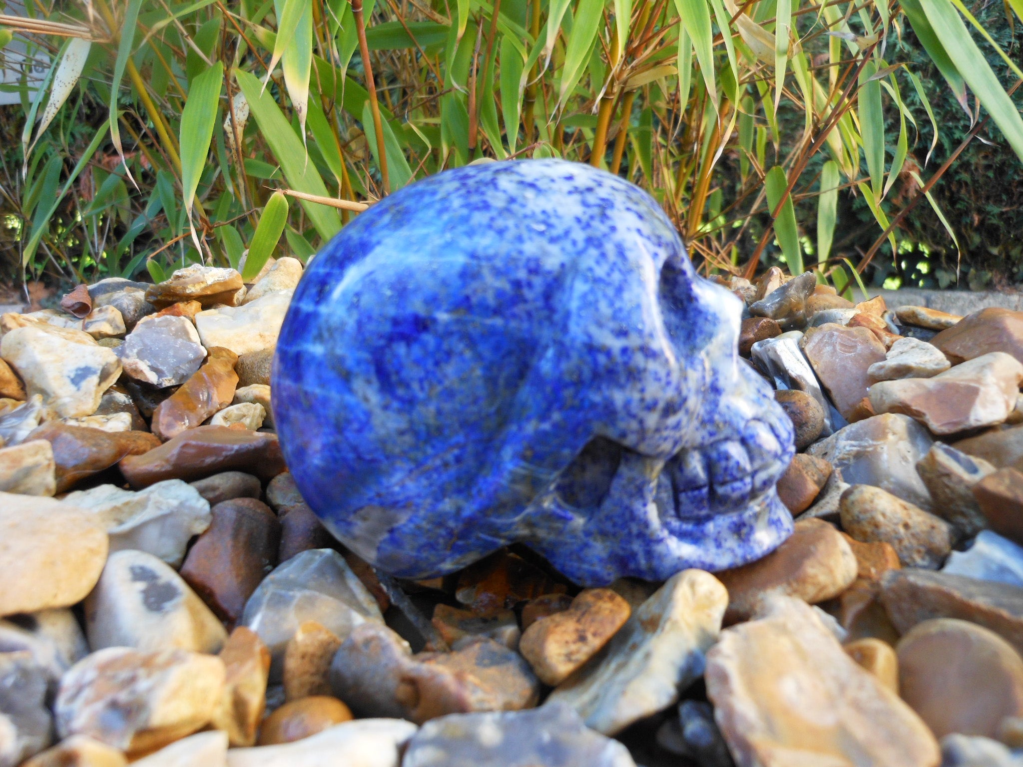 lapis lazuli skull