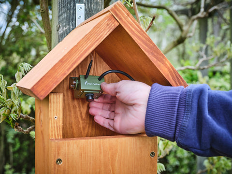 Bird Box Camera Lifestyle Image