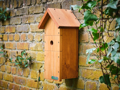 Large Bird Box