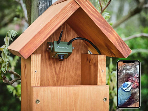 WiFi Bird Box Camera Lifestyle Photo