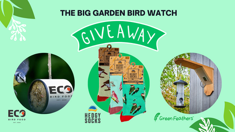 Big Garden Birdwatch Giveaway