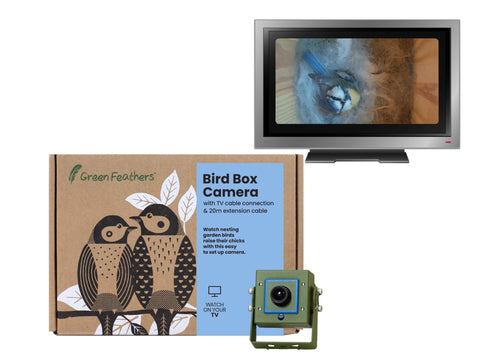 Bird Box Camera for TV with Wired Connection
