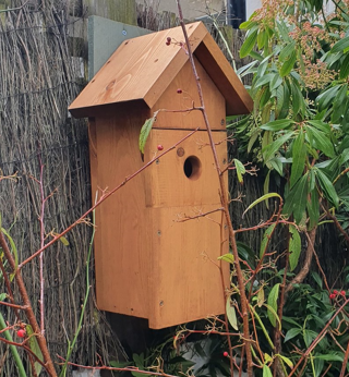 bird box attached to a garden fence