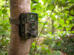 Camouflaged trail camera secured to tree