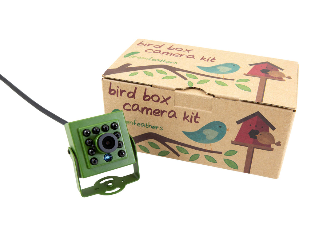 wired bird box camera