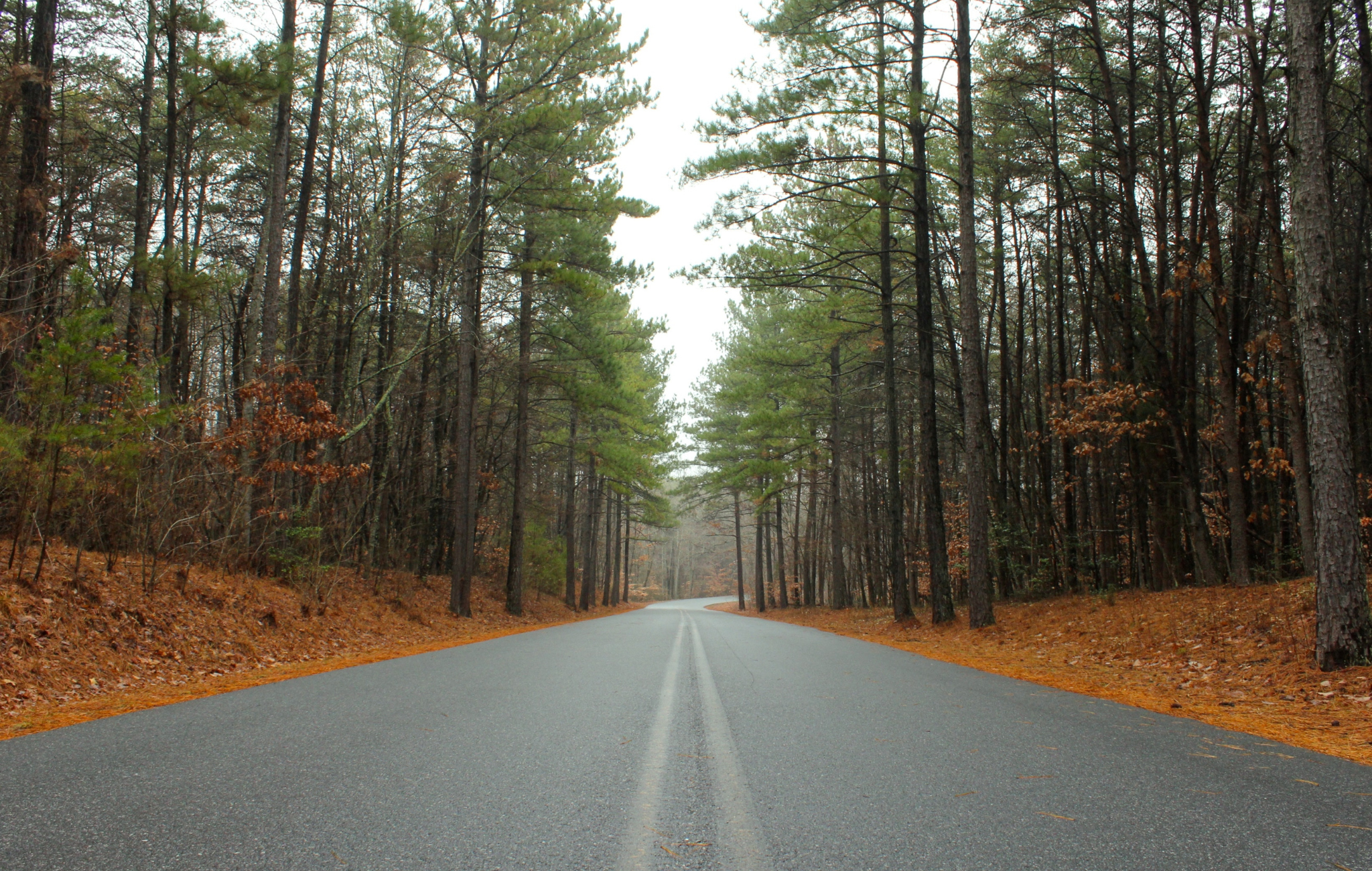 10-best-longboarding-roads-in-the-us