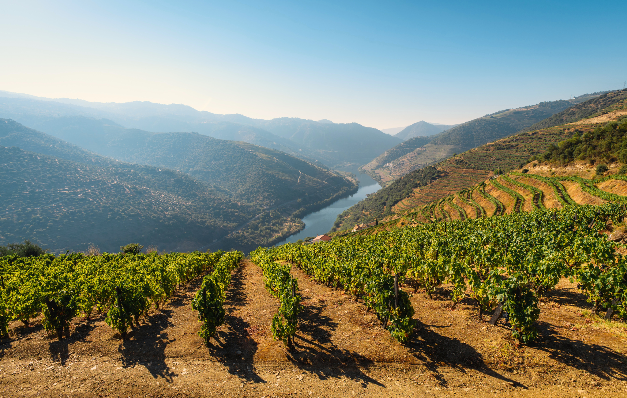 why-you-have-to-do-a-cruise-down-the-douro-river