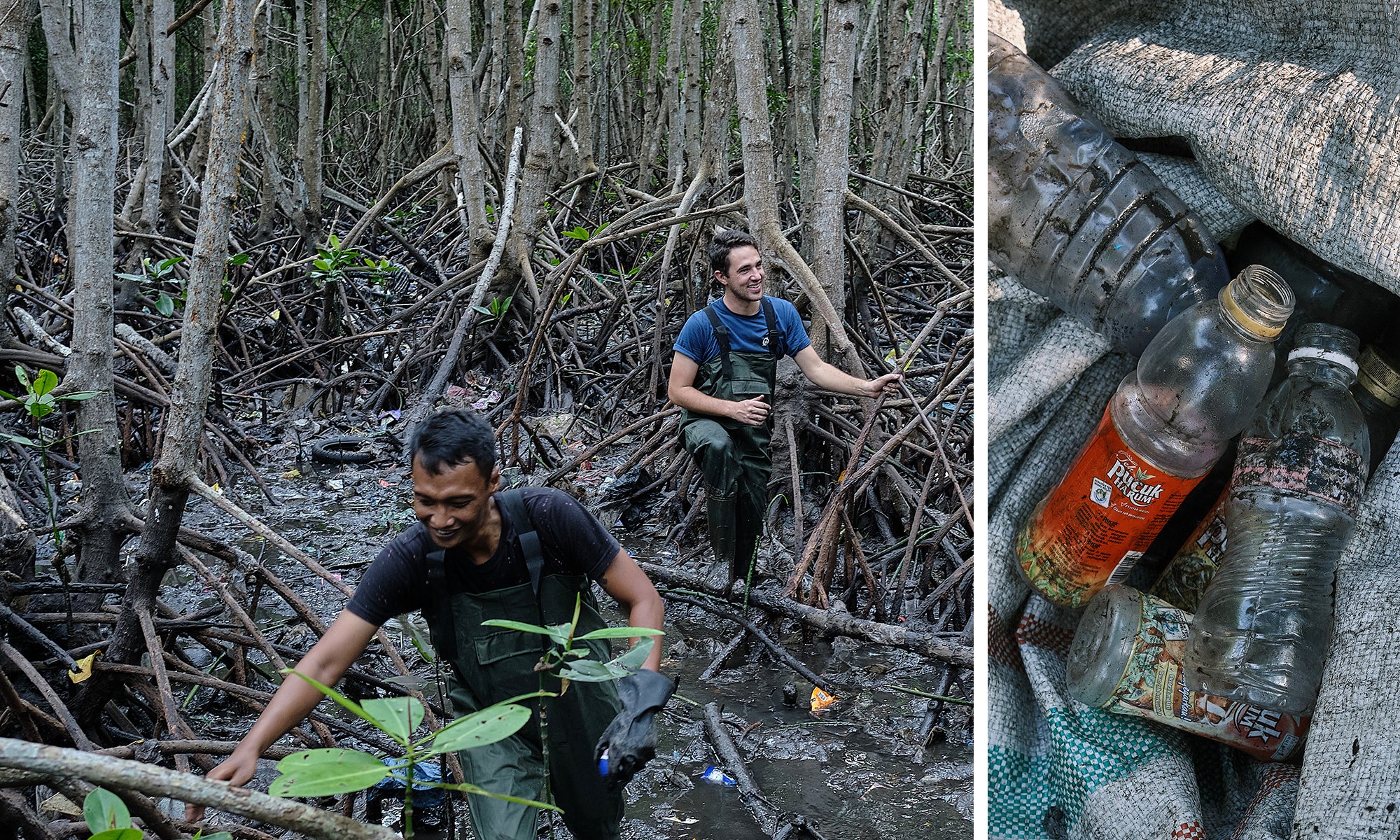 Bali Team mangroves plastic cleanup 3