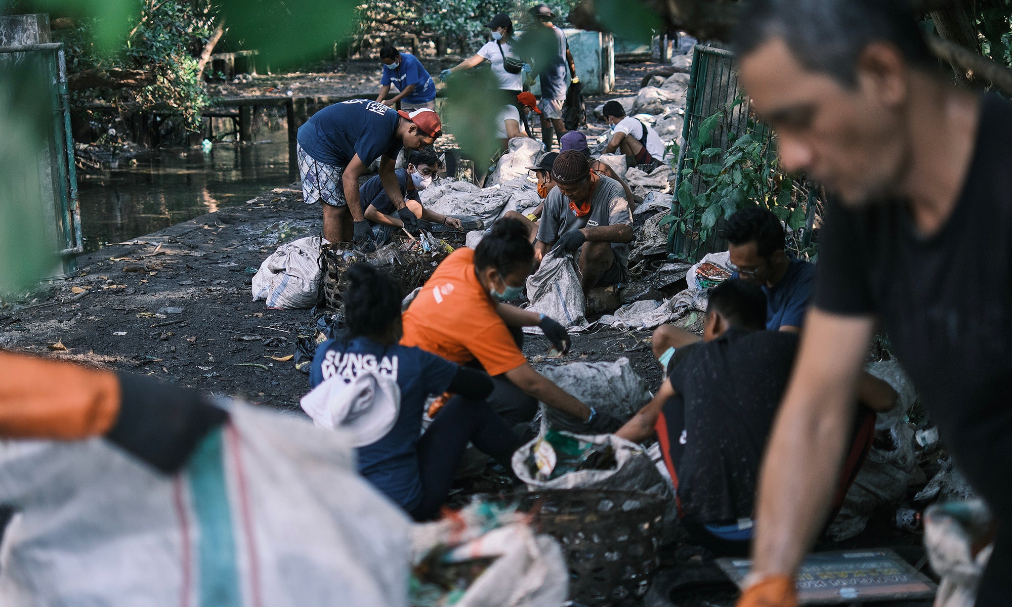 Bali Team mangroves plastic cleanup 1