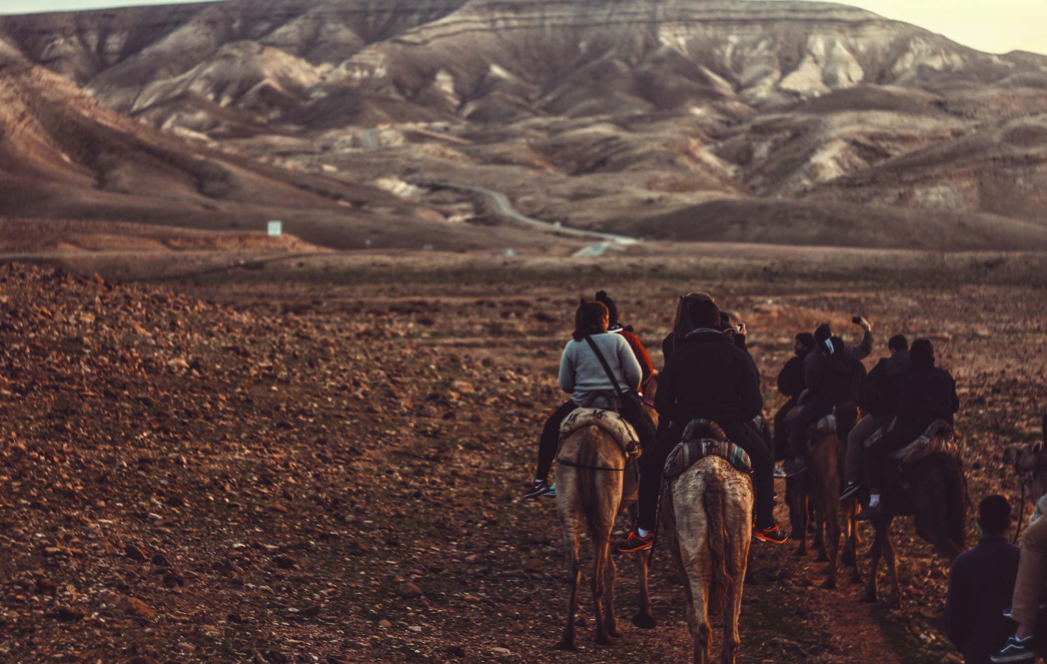 group of people riding horses in desert