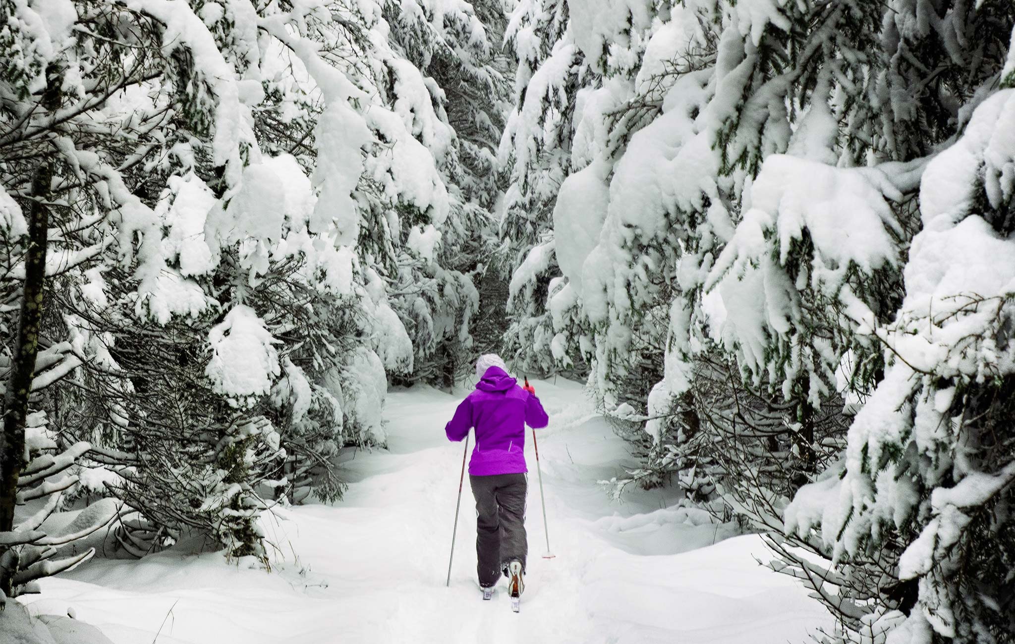 woman cross country skiing through a forest