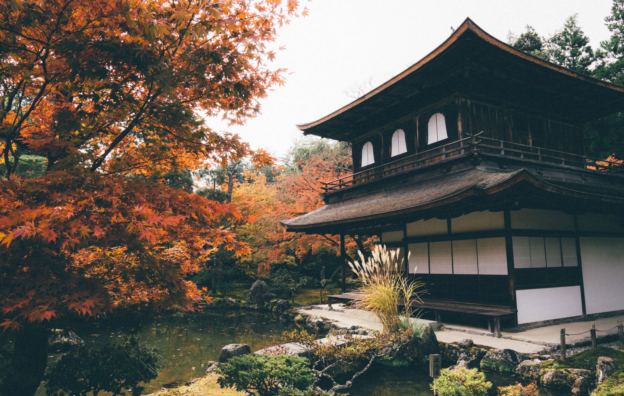 japan fall foliage koyo