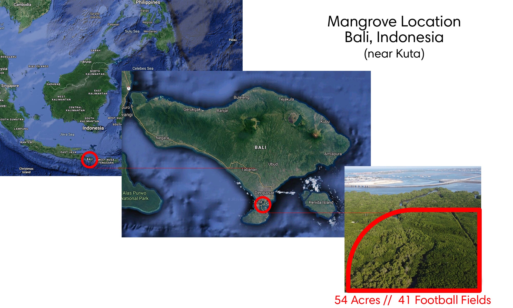 Map of Bali and Kuta Location of Mangrove