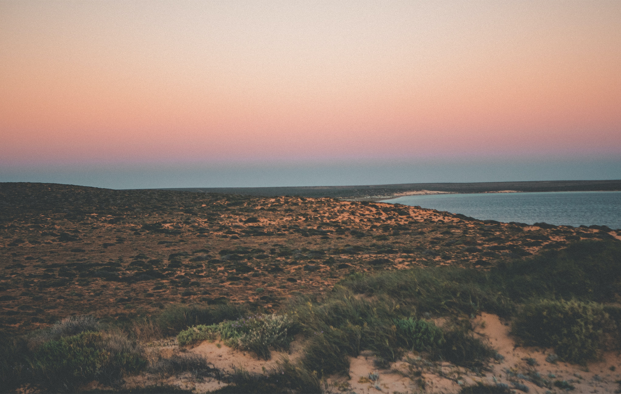 shark bay australia