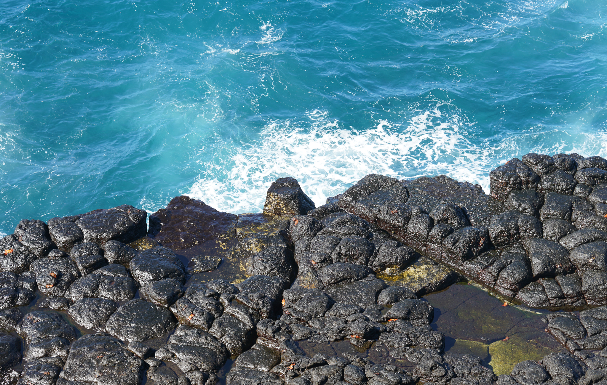 volcanic rock in the galapagos