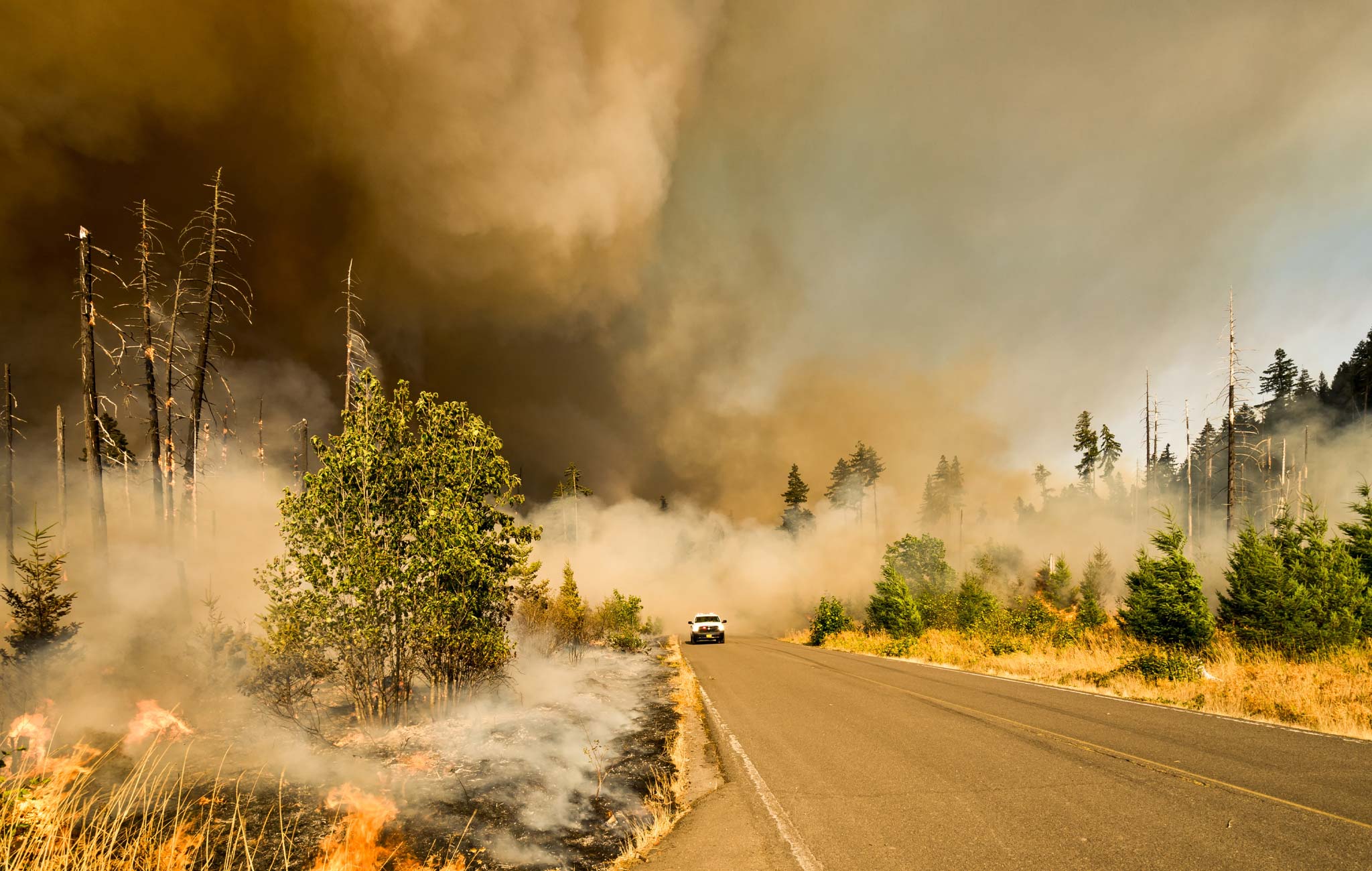 car next to wildfires in california