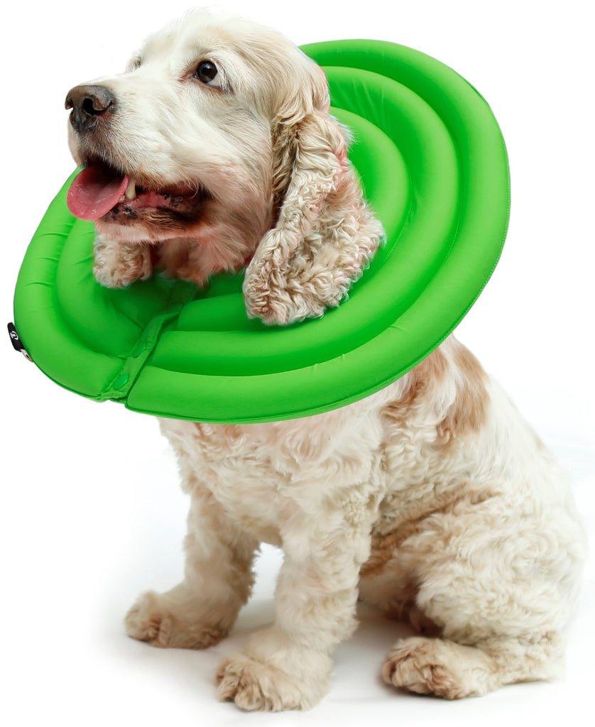 soft cone for dogs