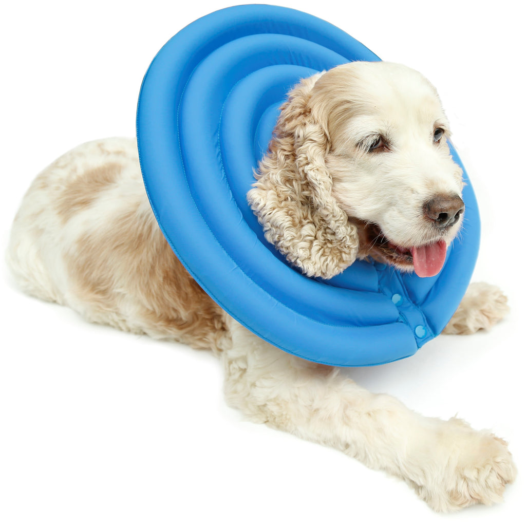 comfy cone dog collar