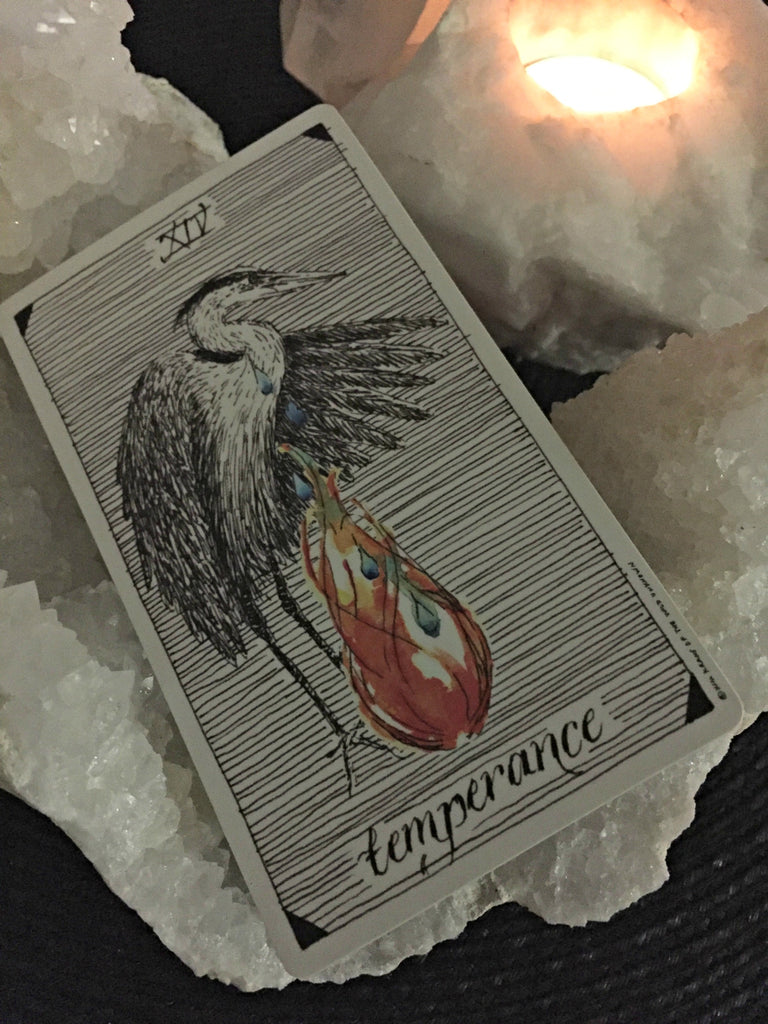 The Wild Unknown Tarot, Temperance, The Peaceful Tarot Reading