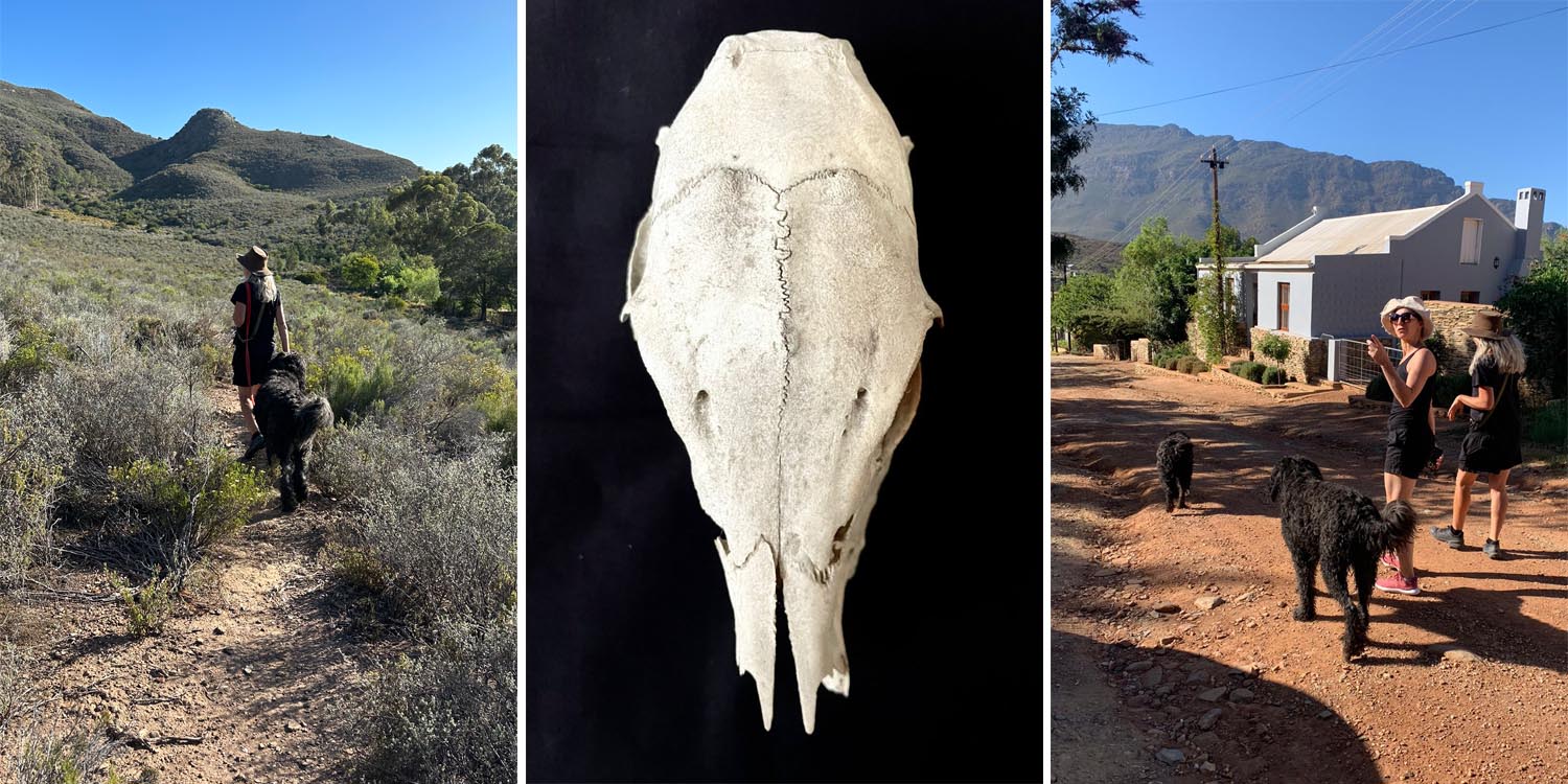 Sarah Briginshaw,  founder of Sarza, joins ceramicist Helen Vaughan on a walk in the mountains where Helen finds inspiration. Helen Vaughan ceramics and artworks are available at Sarza home décor Store in Rye, New York.