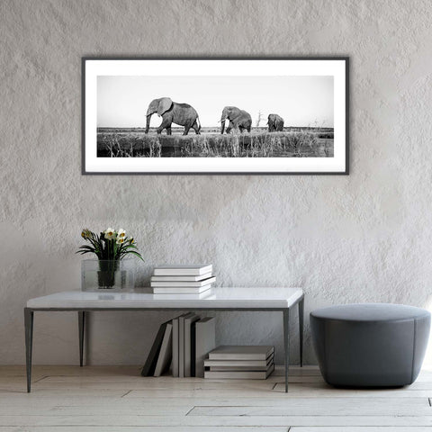 Richard DuToit, fine art nature photography featuring three elephants by the Chobe River. Richard DuToit photography and artwork is available at Sarza store home goods, wall art and furniture store