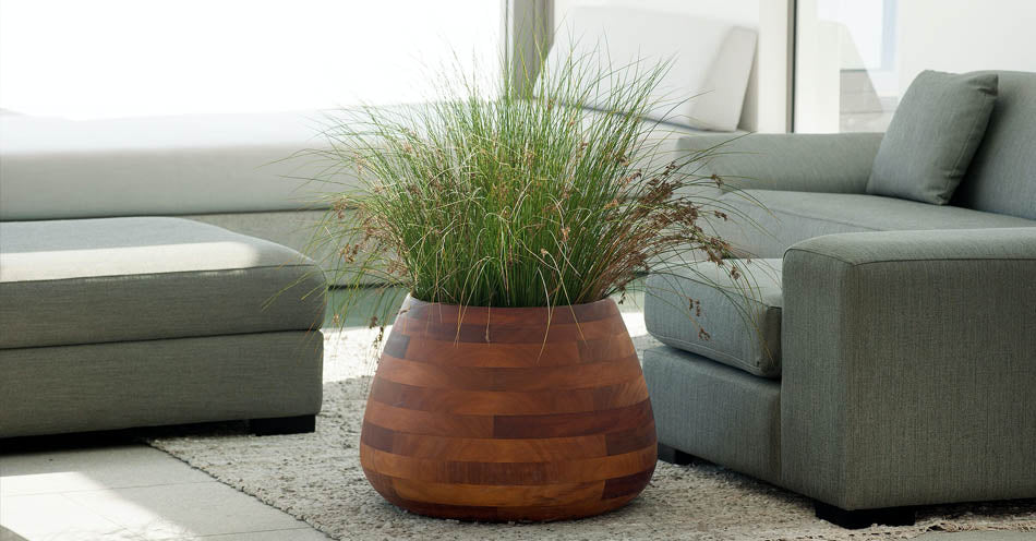 Indigenus Tuber planter in a stylish interior setting.  Available at Sarza home goods, furniture & décor store in Rye