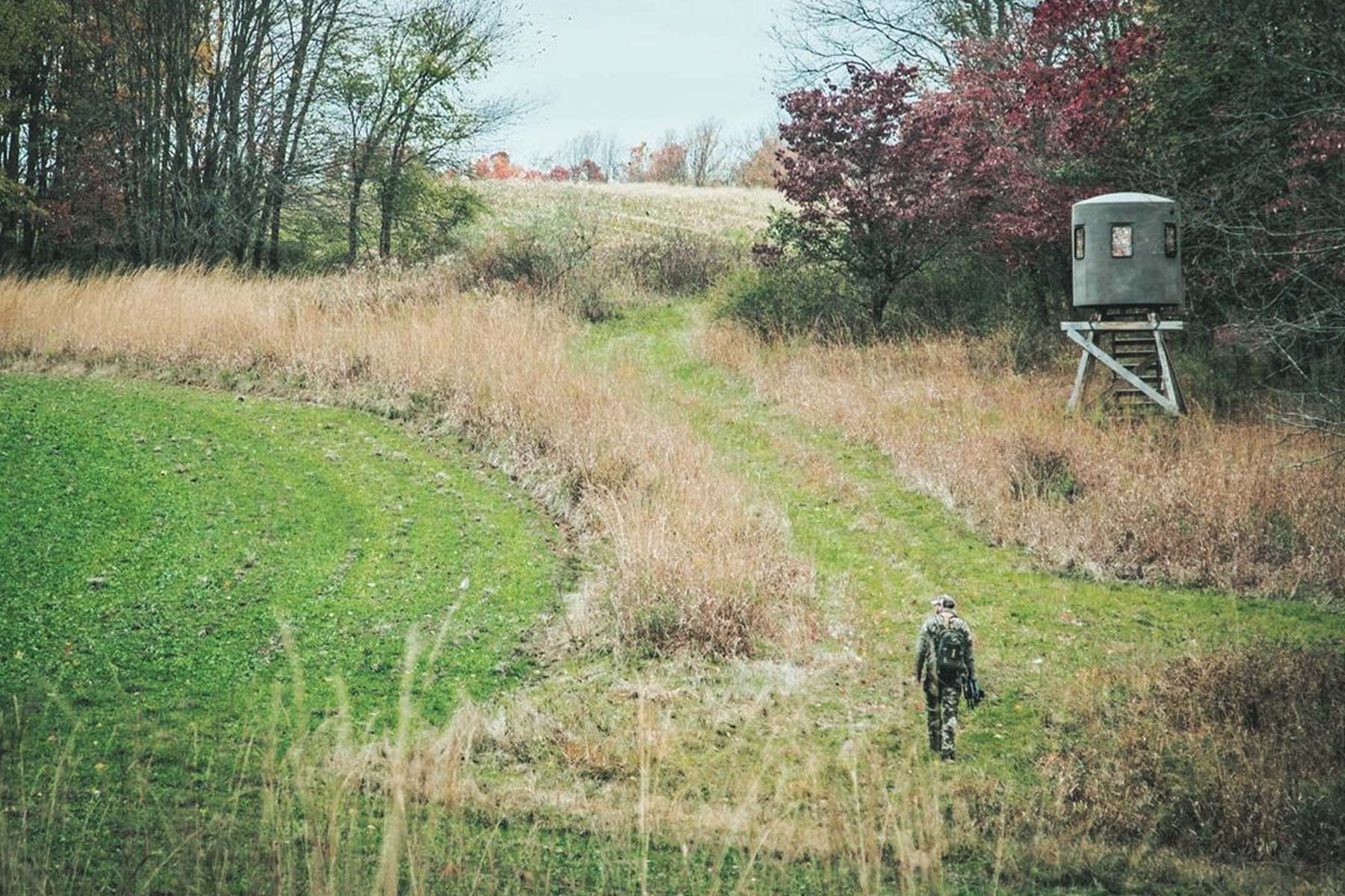 weather and whitetail deer hunting