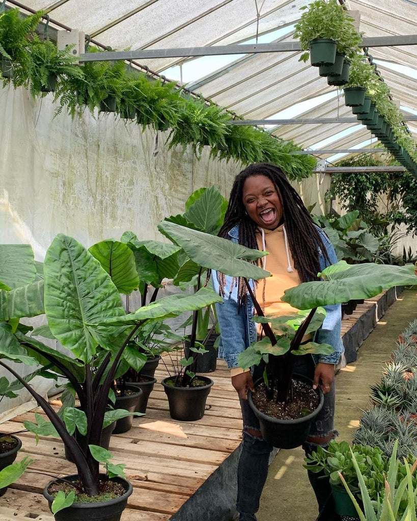 Janay from hella plants market holding pot with plant in it, inside greenhouse