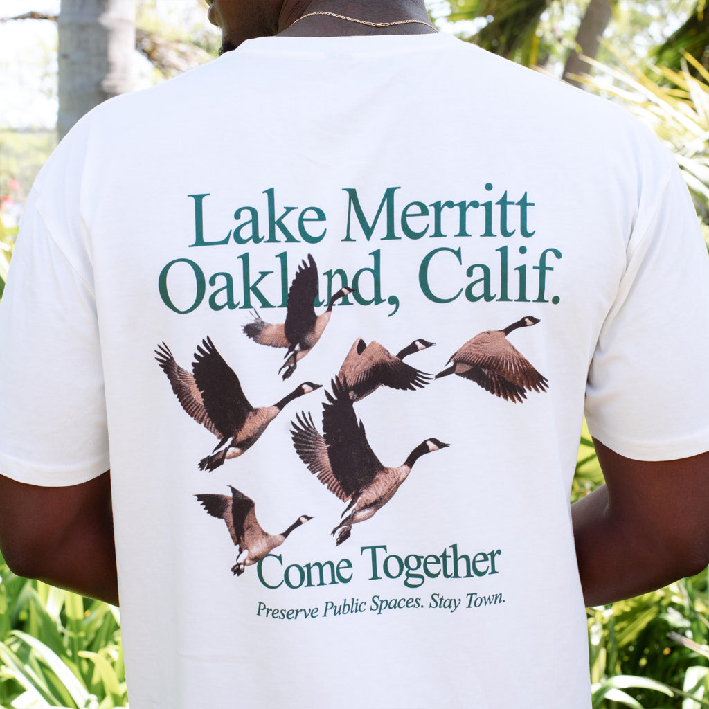 closeup of flock together design with flying canadian geese