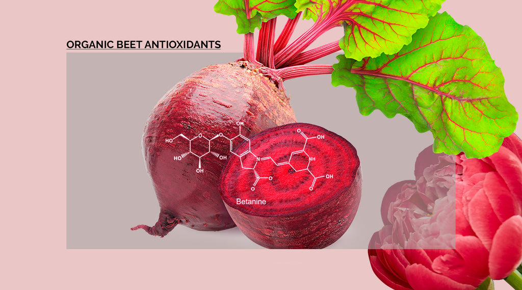 beet extract diagram