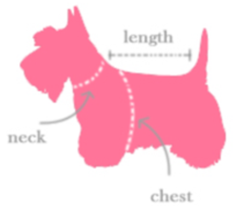 Bow Tie Evening Dog Dress Measuring