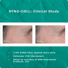 What does SYN®-COLL do for skin?