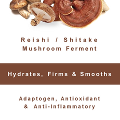 Mushroom Skin Benefits