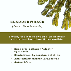 Is Bladderwrack good for skin?