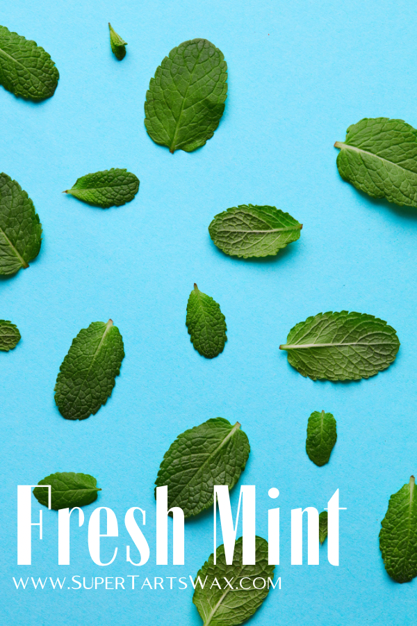 Fresh Mint